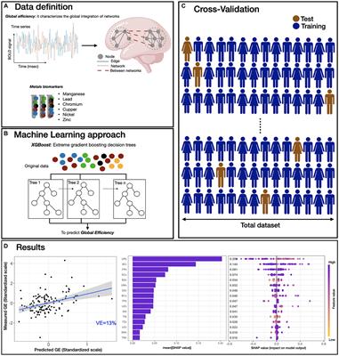 Neuro-environmental interactions: a time sensitive matter